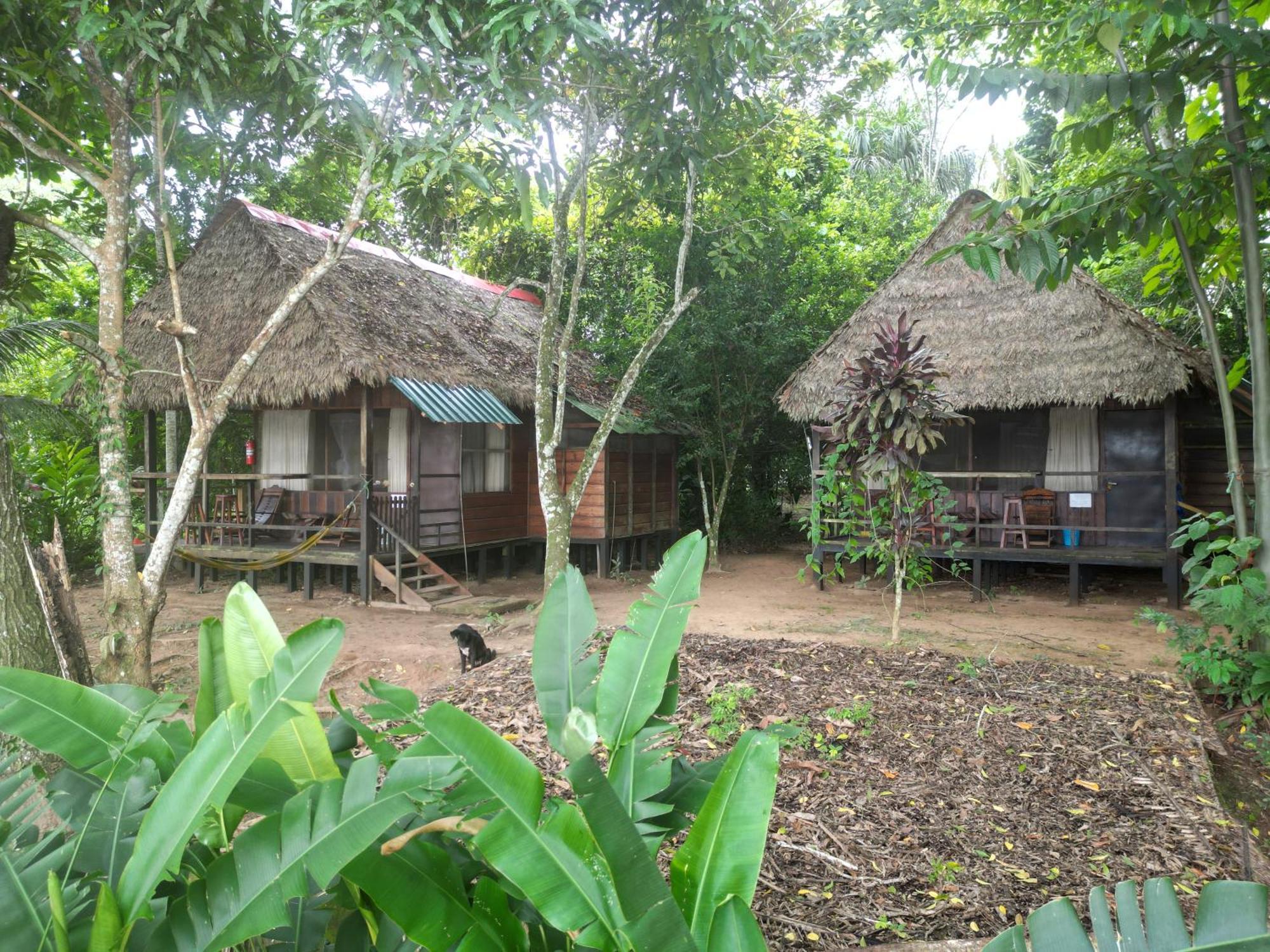 Tambopata River Puerto Maldonado Ngoại thất bức ảnh