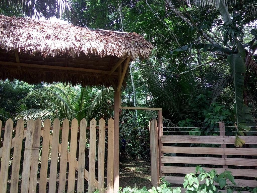 Tambopata River Puerto Maldonado Ngoại thất bức ảnh