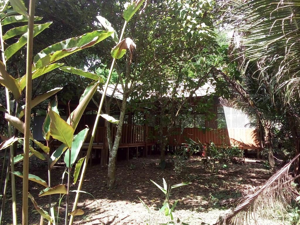 Tambopata River Puerto Maldonado Ngoại thất bức ảnh