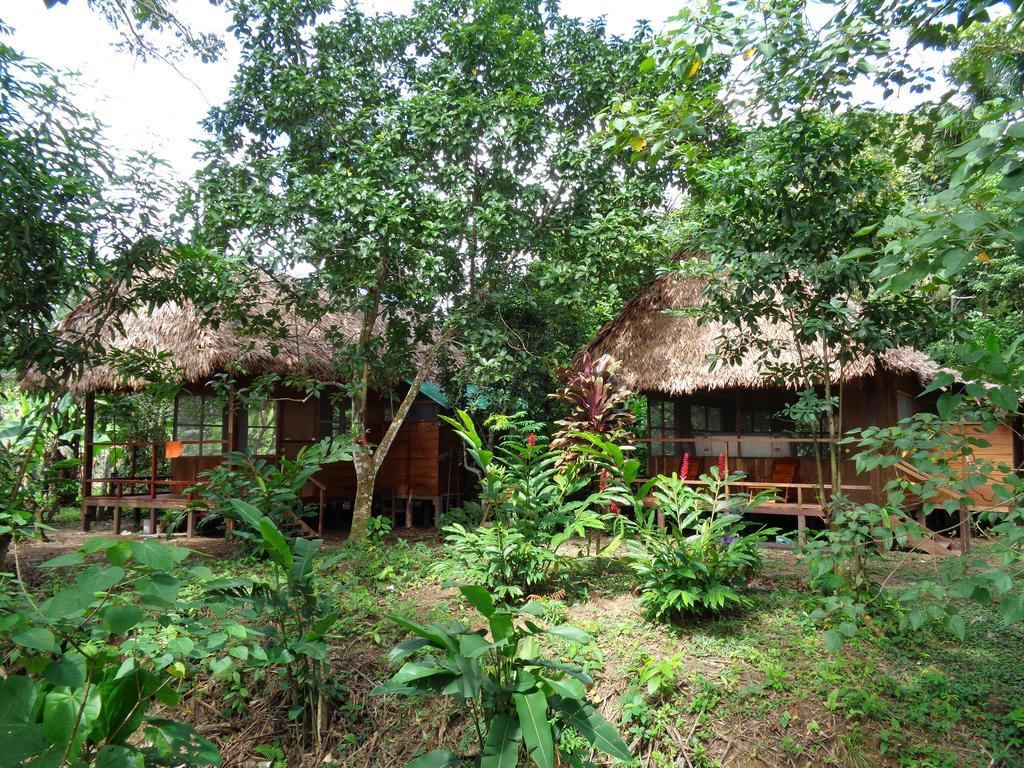 Tambopata River Puerto Maldonado Ngoại thất bức ảnh