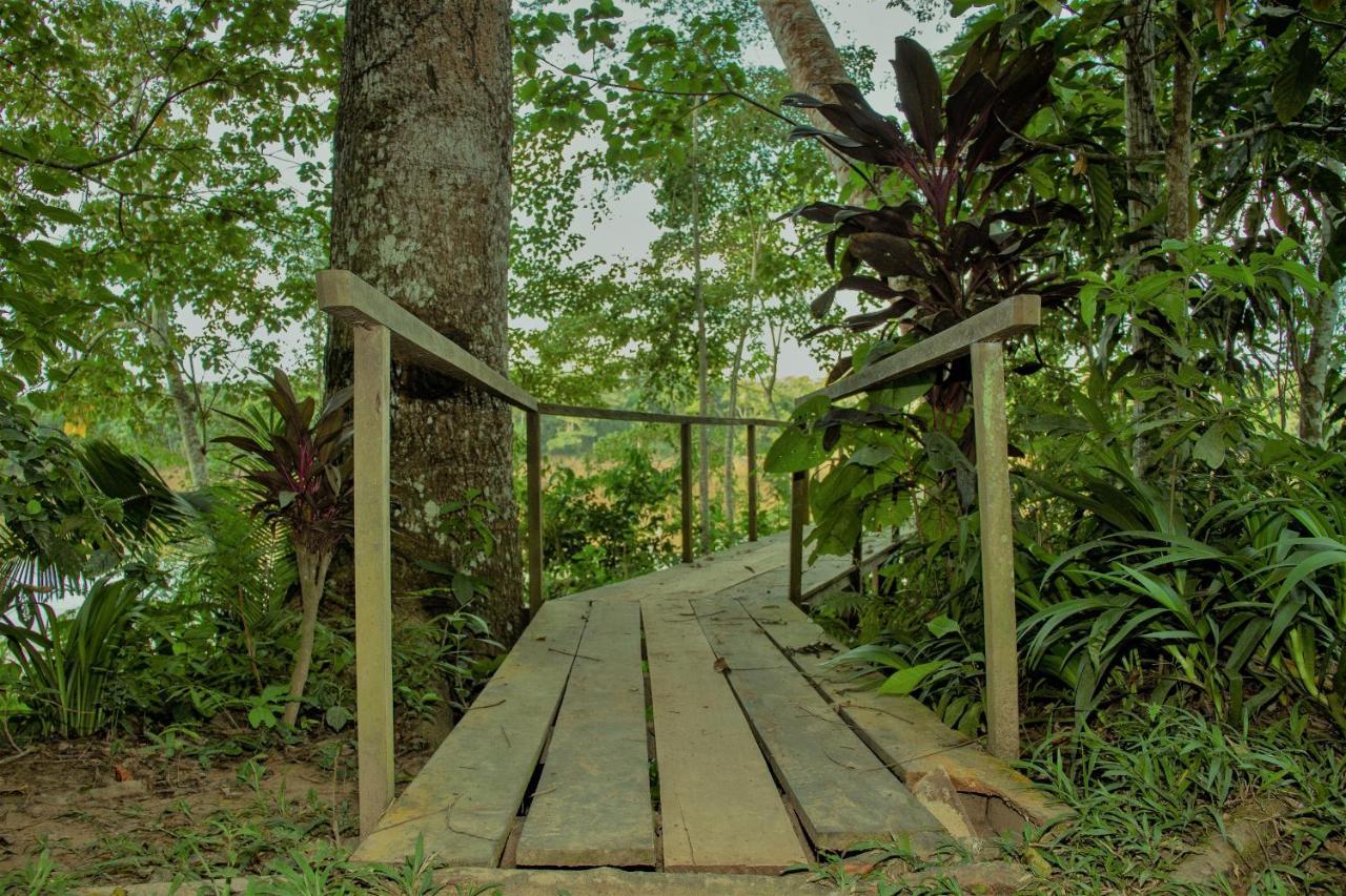 Tambopata River Puerto Maldonado Ngoại thất bức ảnh